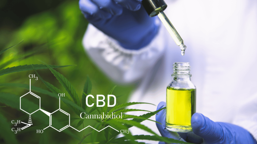 A scientist holding up CBD oil around a group of hemp plants 